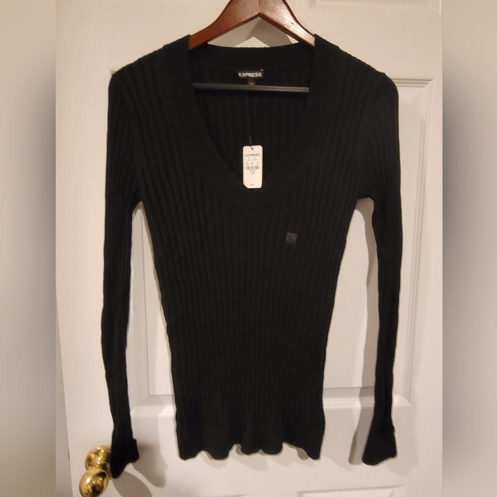 Express light weight ribbed sweater Large NWT v neck